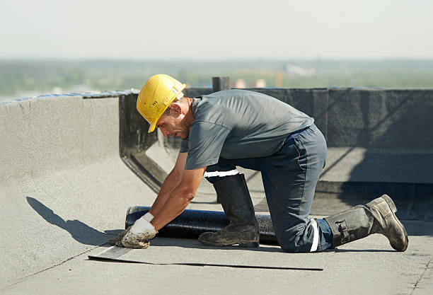 Best Commercial Insulation Contractor  in Rayne, LA